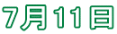 7月11日